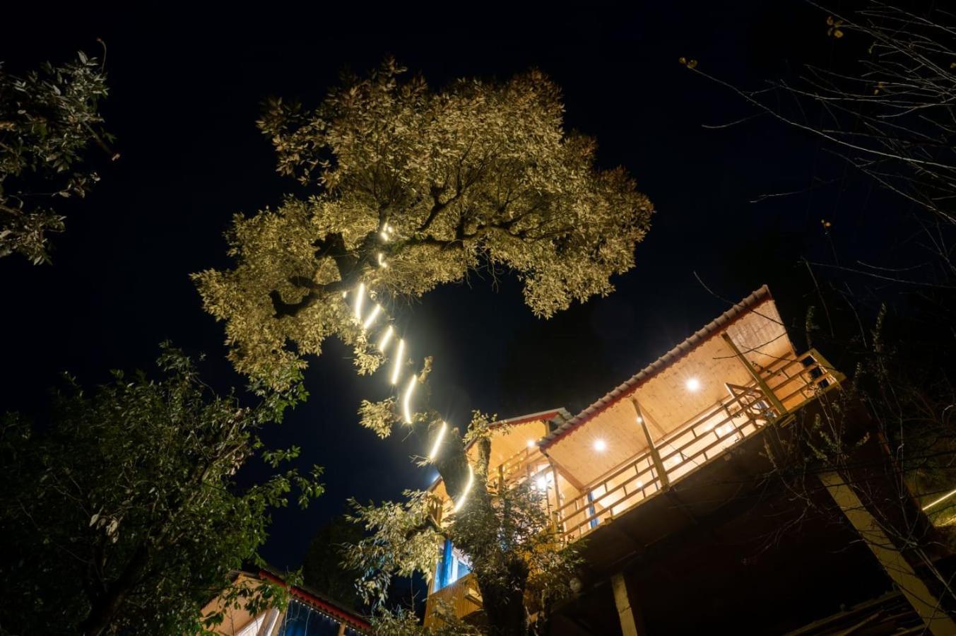 Into The Woods Treehouse Jibhi Villa Екстериор снимка